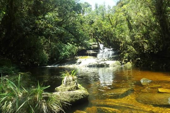 Passeio no Parque Estadual Serra do Mar