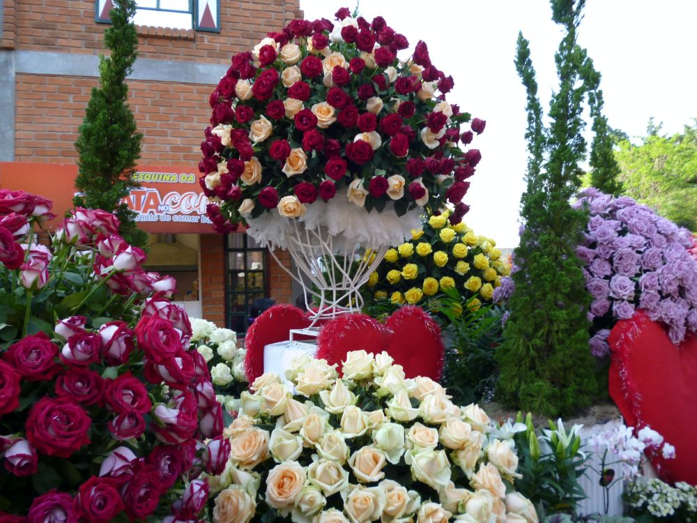 Transporte para eventos